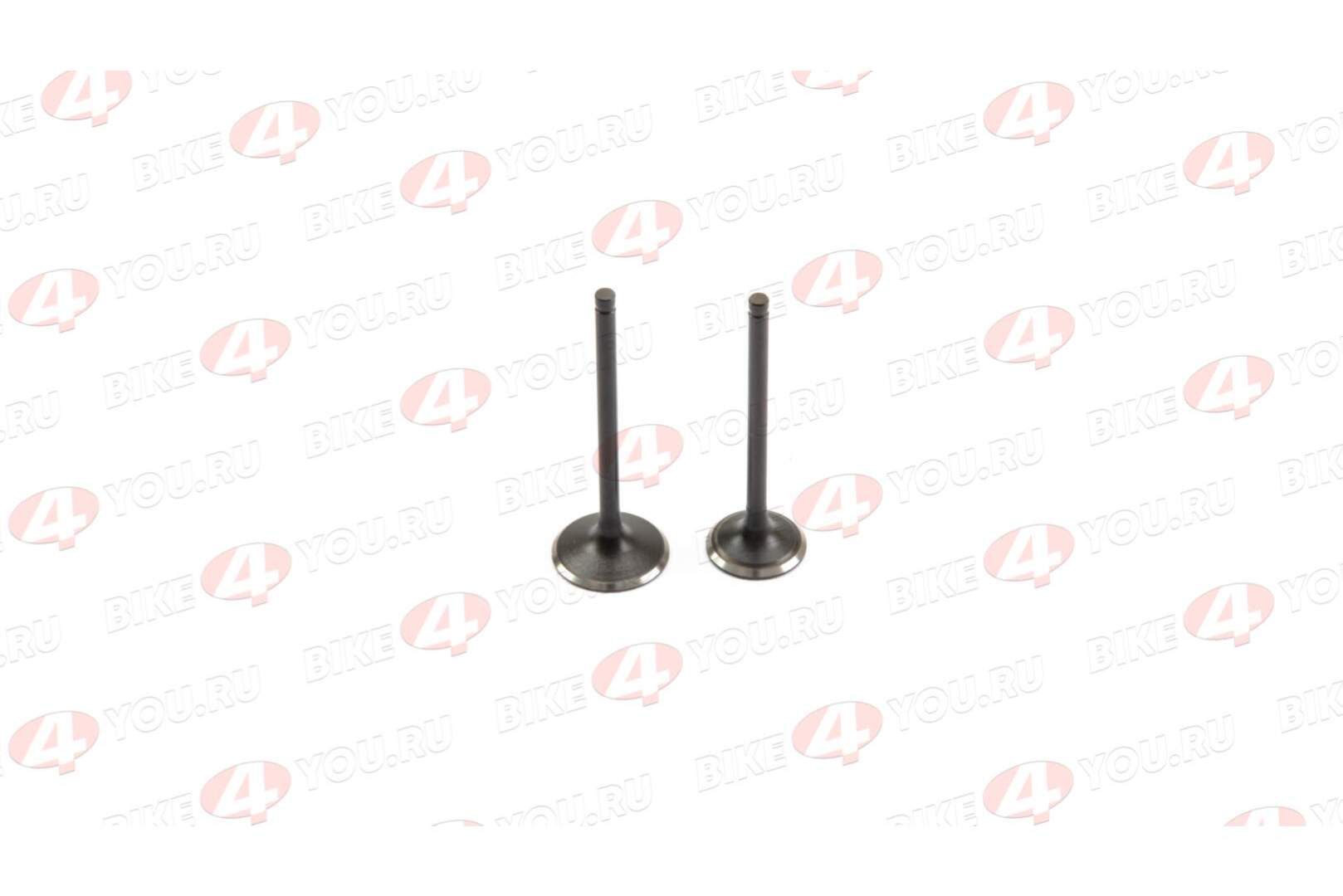Клапаны ГРМ (компл.=2шт) 250см3 172FMM-3A ZS250 (CB250-F) X-TECH