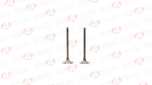 Клапаны (компл.=2шт) 200см3 166FML YX200 (CBB200) X-TECH