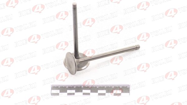 Клапаны впуск+выпуск ГРМ (компл.=2шт) 194MQ (NC450) ZS