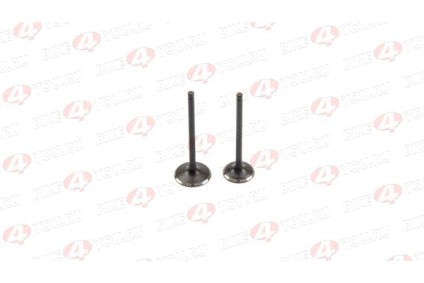 Клапаны ГРМ (компл.=2шт) 250см3 172FMM-3A ZS250 (CB250-F) X-TECH