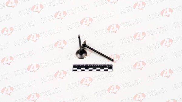 Клапаны ГРМ 161FMJ (CB150D) 169FML (CB200) (компл=2шт)