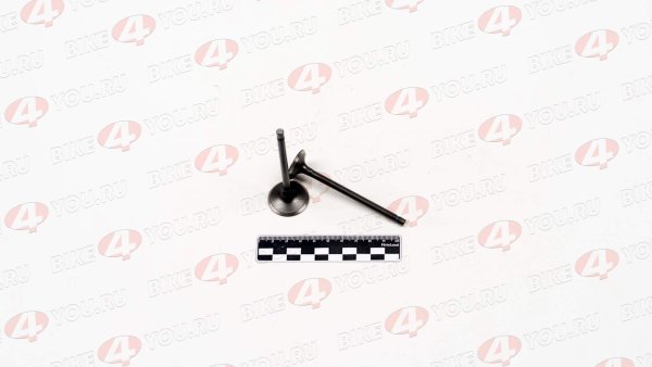 Клапаны ГРМ 167FML-3 (CG200D-B) (компл=2шт)