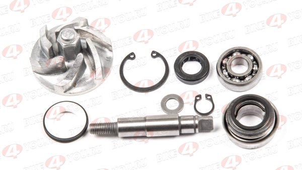 Помпа в сборе 169MM (CB250-A) water, 2V  ZS
