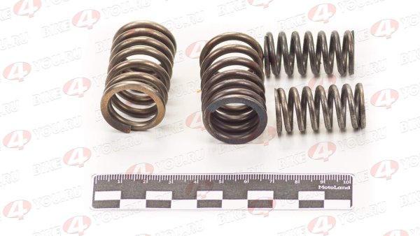 Пружины клапанов (компл=4шт) ГРМ 162FMJ,164FML,166FMM,167FMM (CGN/NT)