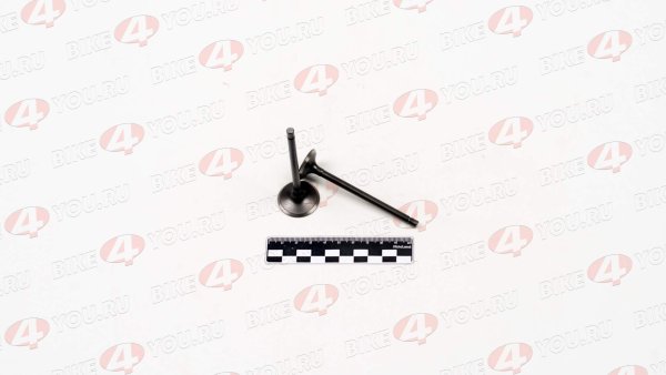 Клапаны ГРМ 156FMI (CG125D) (компл=2шт)
