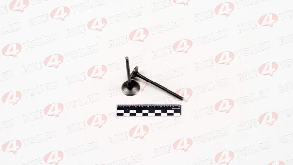 Клапаны ГРМ 163FML-2(CB200-C)165FML(CBB200)165FMM(CB250D-G)165FMM(CBB250) (компл=2шт)