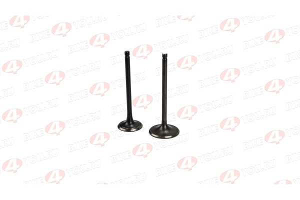 Клапаны ГРМ 165FMM CBB250 X-TECH